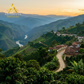 Tour del Café Antioquia