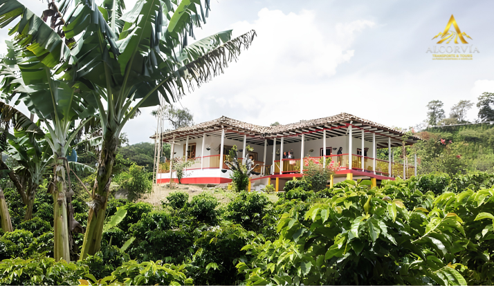 Tour del Café Antioquia