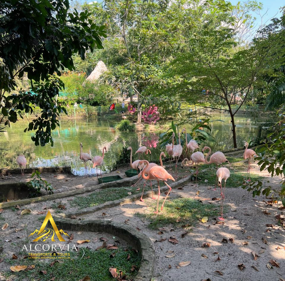 Tour Privado Hacienda Nápoles