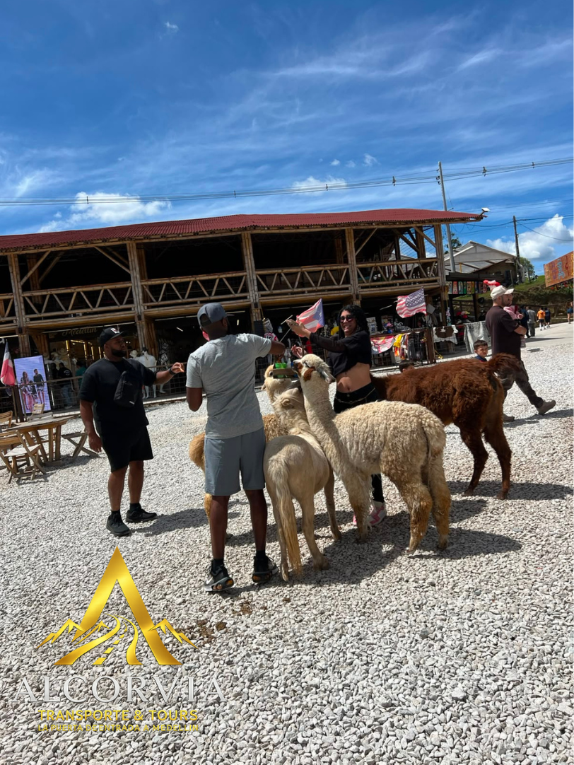 Tour Privado Guatapé y Piedra del Peñol