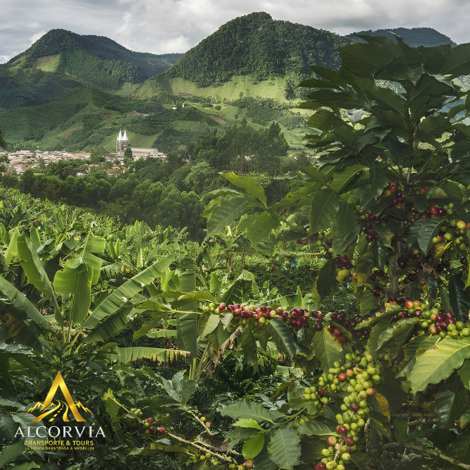 Tour Privado Jardín, Antioquia