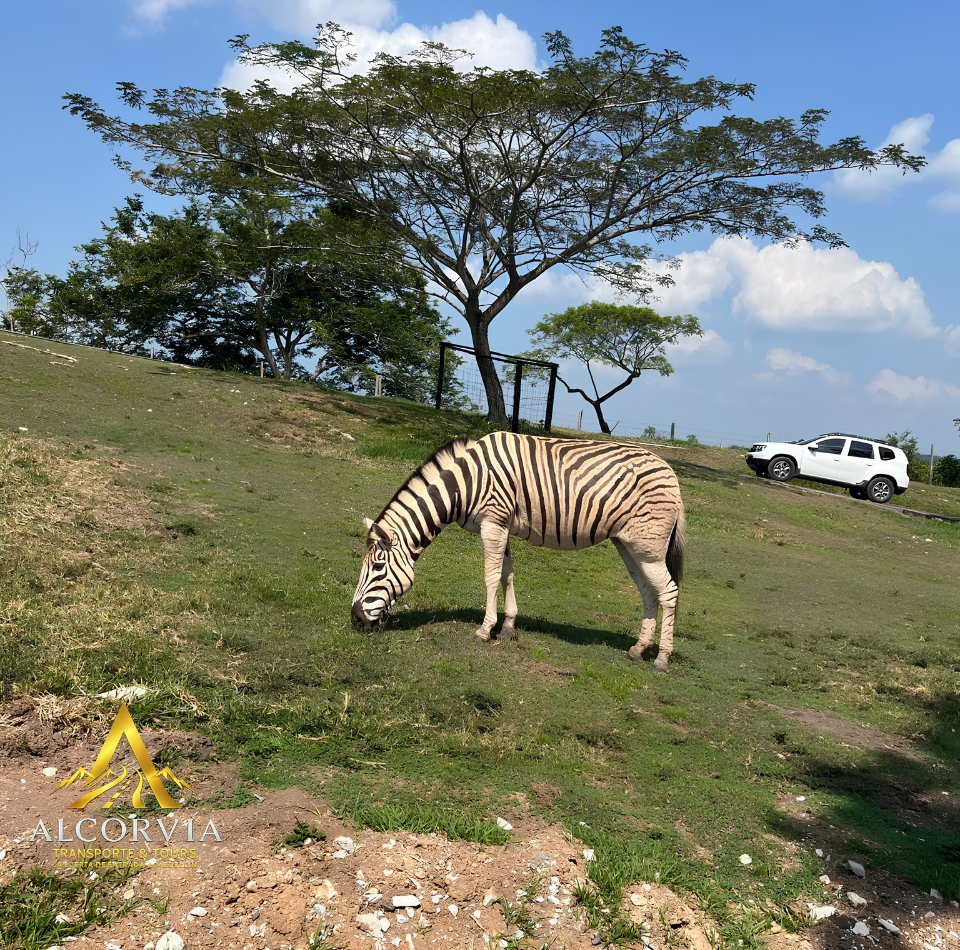 Tour Privado Hacienda Nápoles